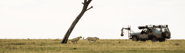 6 DAYS & 5 NIGHTS KENYA SAFARI 2024