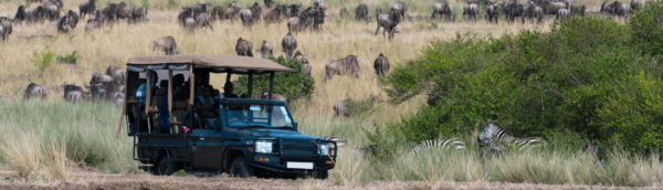 5 DAYS & 4 NIGHTS KENYA SAFARI 2024