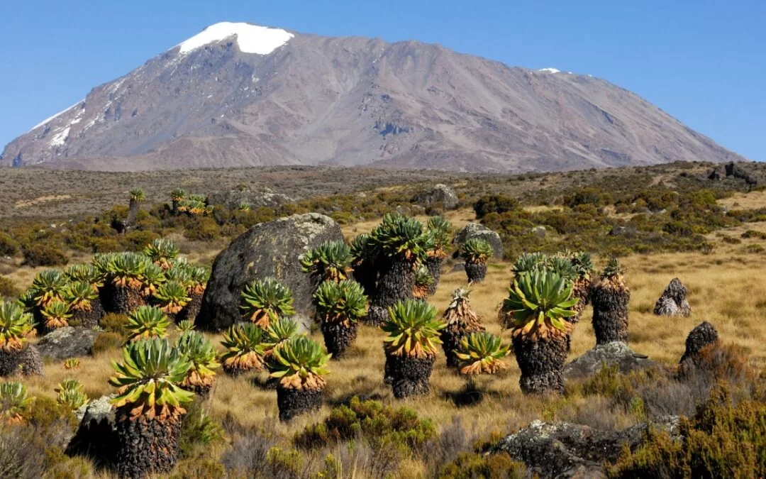 Which is the Best Route to Climb Mt. Kilimanjaro? 1 mount kilimanjaro 1 1080x675 1