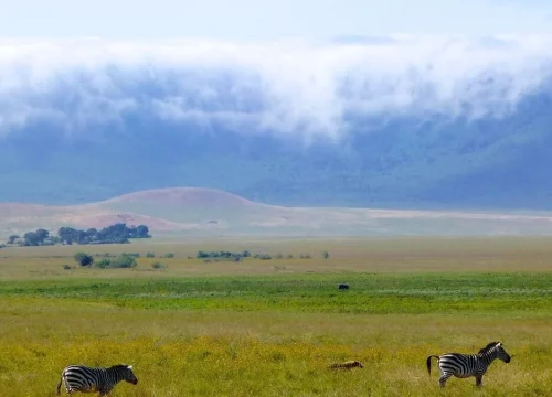 Exploring Ngorongoro Crater: Must-Know Facts for Your Safari Adventure