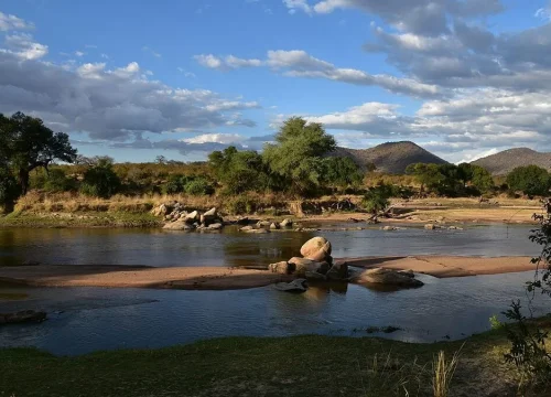 Exploring the Wild in Africa: The Ruaha and Nyerere National Parks in Tanzania