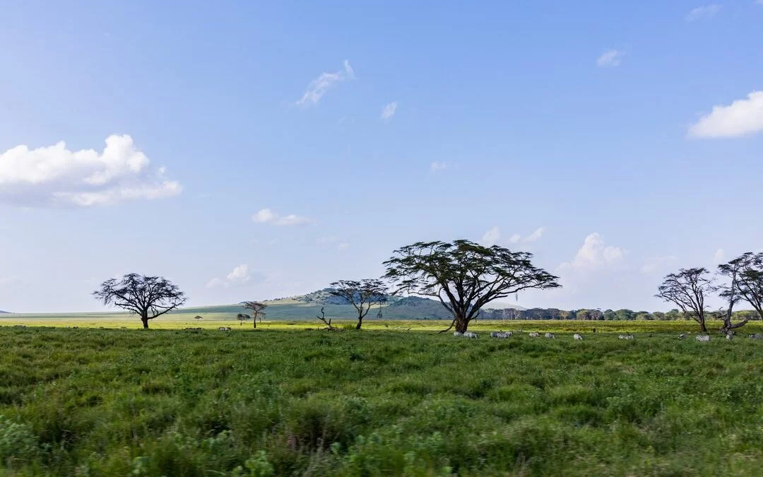Adventures in Kenya Tanzania 1080x675 1