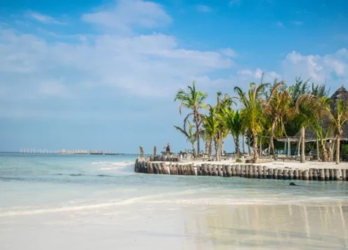 Best Time to Visit Zanzibar: A Month-by-Month Guide