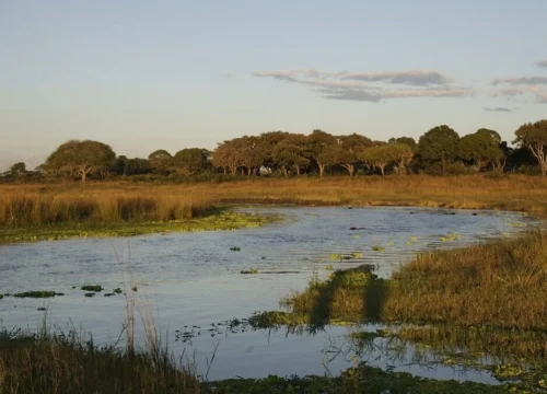 Exploring the Unexplored in Tanzania: A Look at Katavi National Park