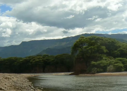 Magic at the Mahale: Looking Closely at the Beautiful National Park in Tanzania