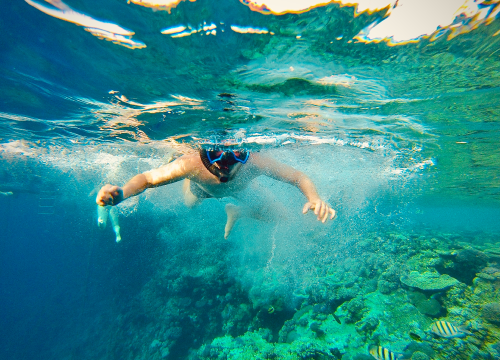 Mombasa Marine National Park and Reserve