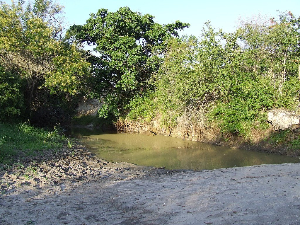 Mkomazi National Park