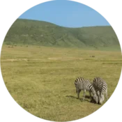 Ngorongoro Conservation Area 1 inactive caldera