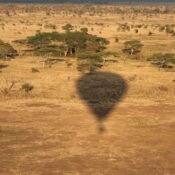 How to Book a Tanzania Safari