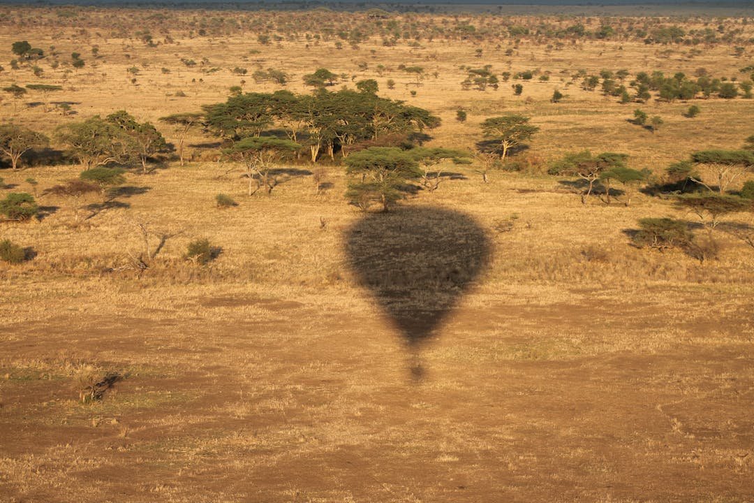 How to Book a Tanzania Safari