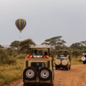 Tanzania Safari