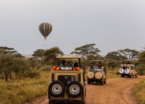 How Much Does a Safari Cost in Tanzania?