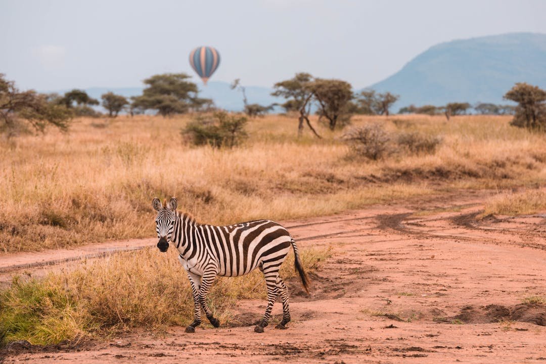 Tarangire National Park