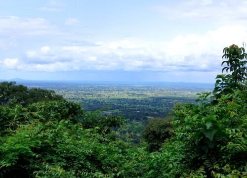 Udzungwa Mountains National Park: Everything you Need to Know