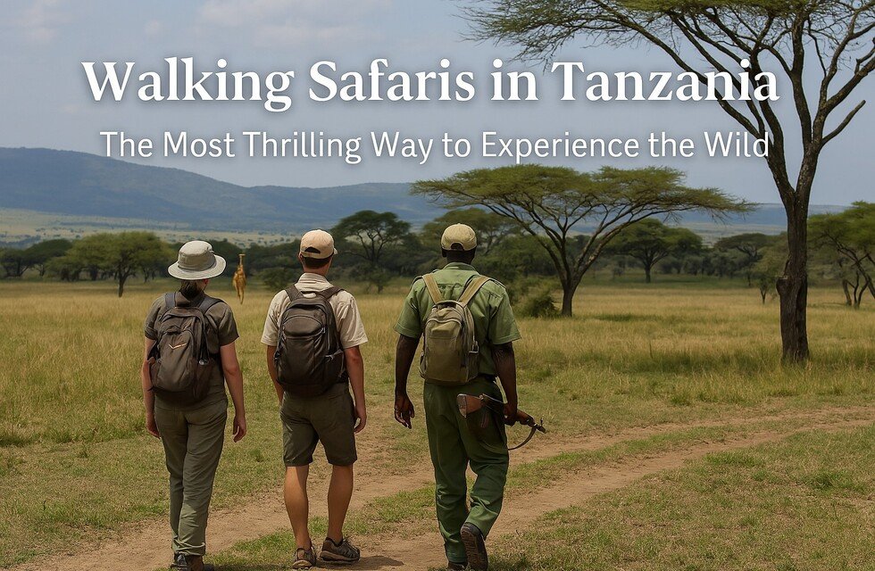 Walking Safaris in Tanzania