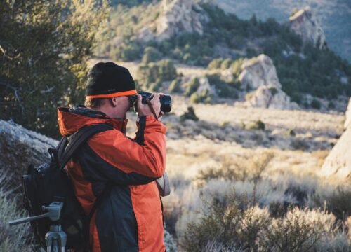 Photographing the Wild: Tips for Capturing Tanzania’s Fauna