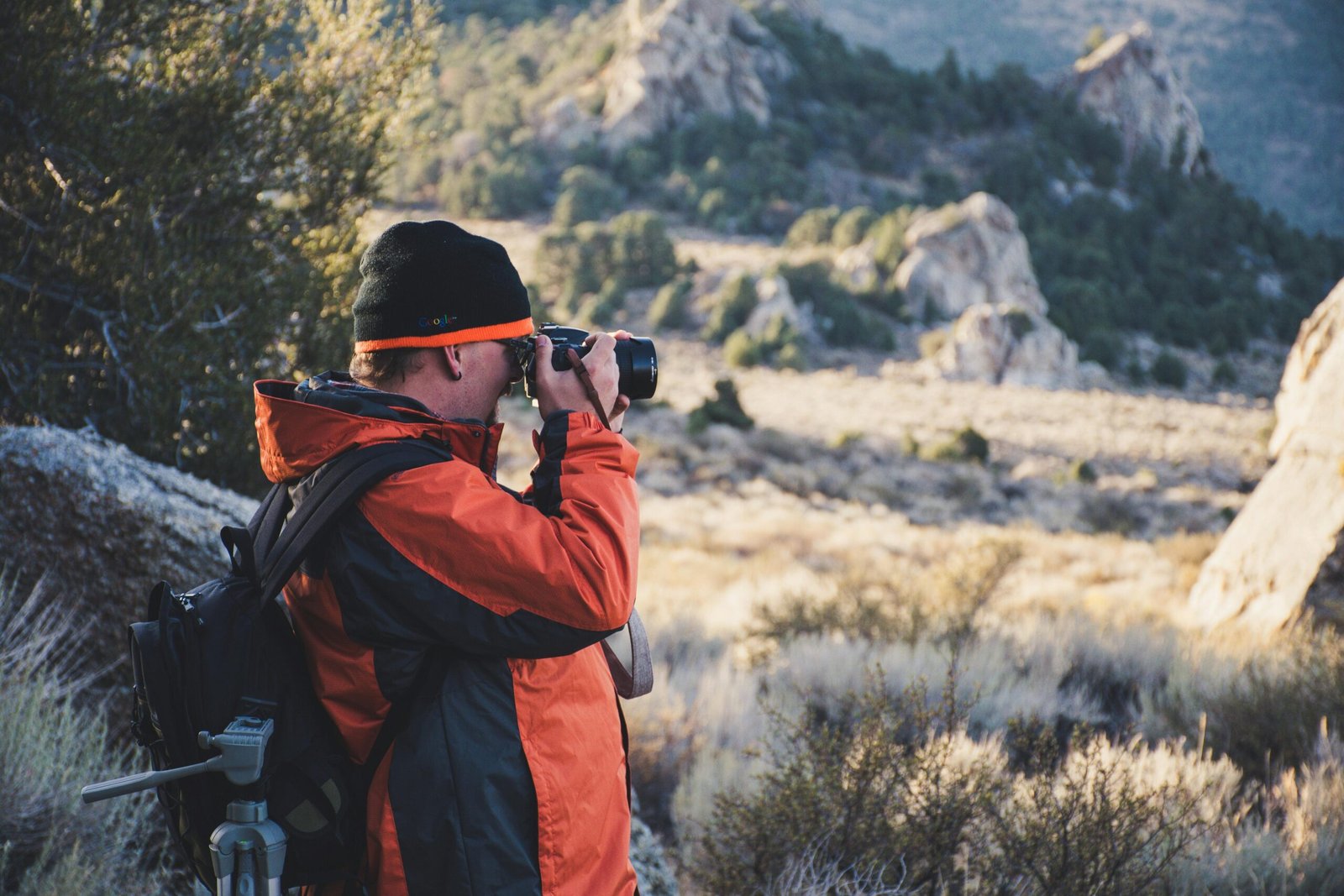 Photographing the Wild: Tips for Capturing Tanzania's Fauna 1 pexels brett sayles 1510882 scaled