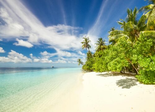 Top Things to Do in Zanzibar Beyond the Beach
