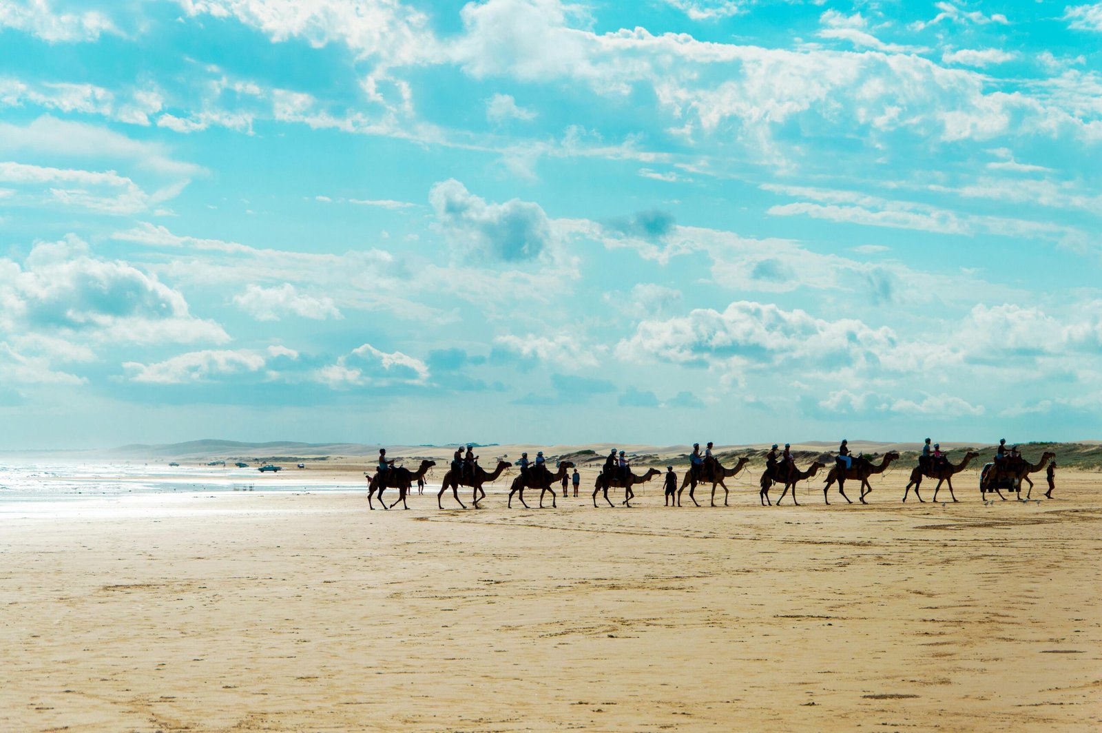 Discover Saadani: Africa’s Unique Beach Safari 1 pexels matteo sacco 32883547 7027649 scaled