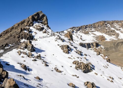 Why Hiking Kilimanjaro in the Dry Season Raises Your Summit Success