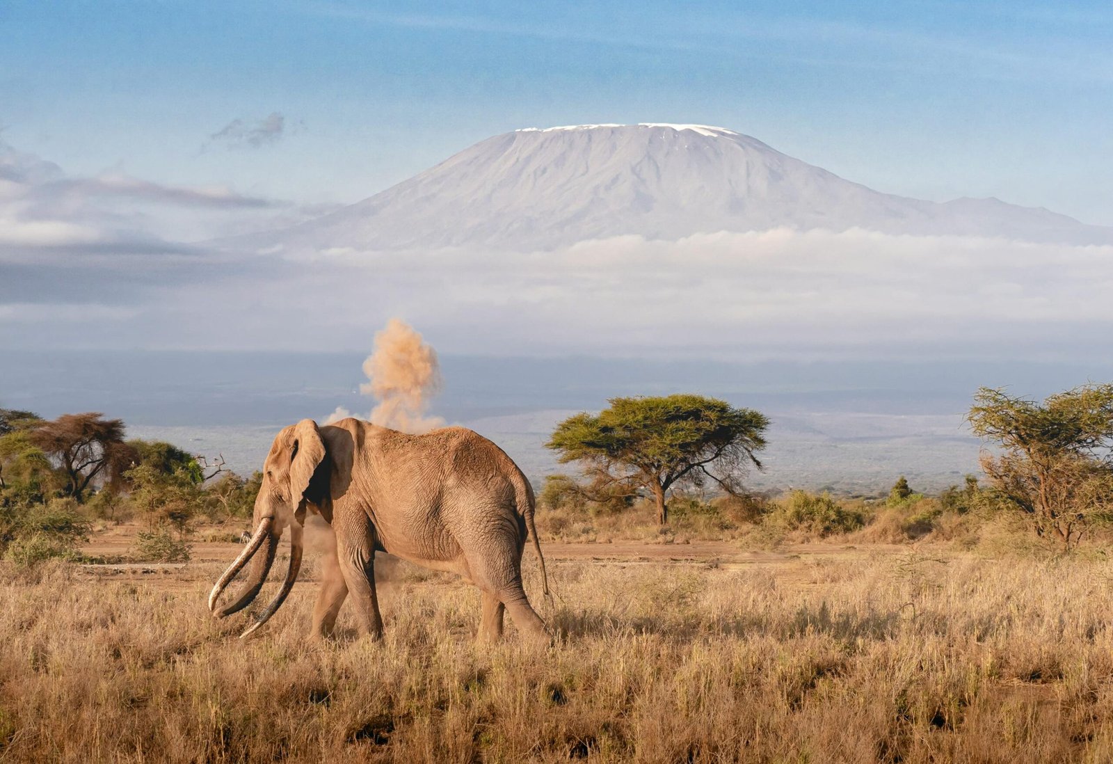 A First-Timer’s Guide to Serengeti National Park 1 pexels florian kriechbaumer 1479976889 26926276 2 scaled