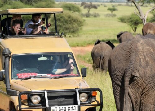 How to Travel Tanzania Ethically: Tips for Conscious Tourists