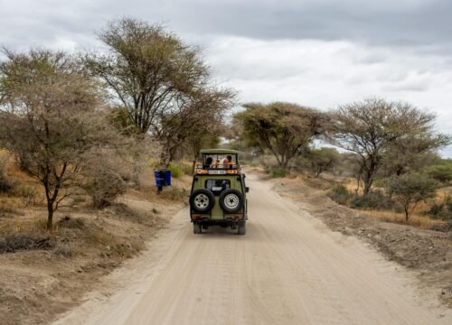 Beyond the Wildlife: Discovering the Soul of Tanzanian Culture
