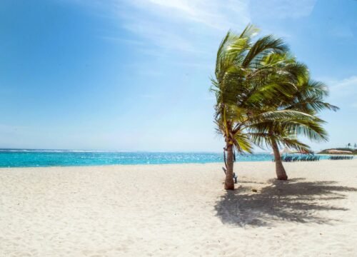 Nungwi vs. Kendwa vs. Paje: Choosing the Perfect Zanzibar Beach