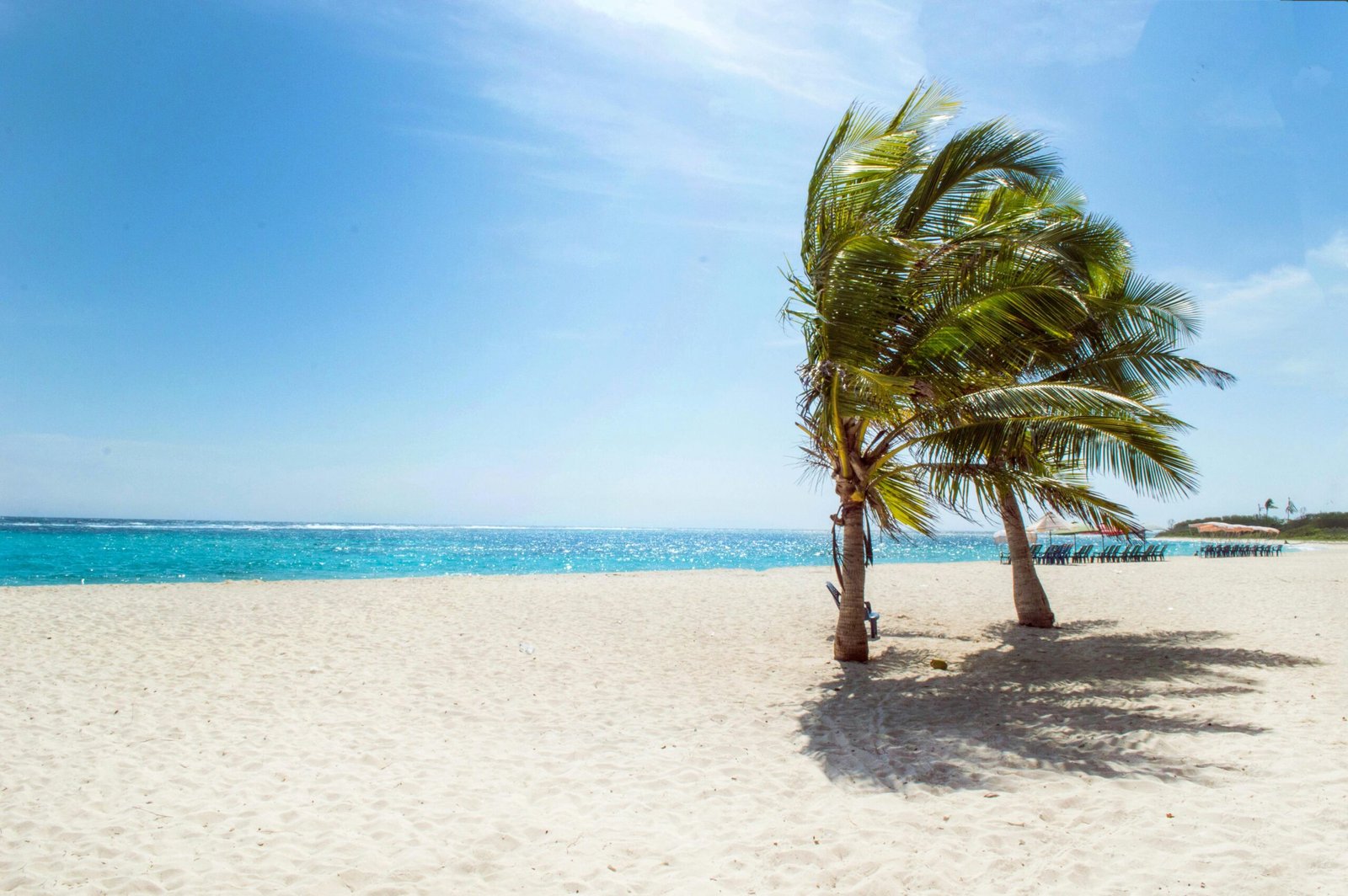 Nungwi vs. Kendwa vs. Paje: Choosing the Perfect Zanzibar Beach 1 pexels maribernotti 1049298 scaled