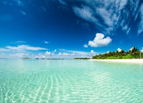 Zanzibar’s Underwater World: Where to Snorkel & Swim with Dolphins