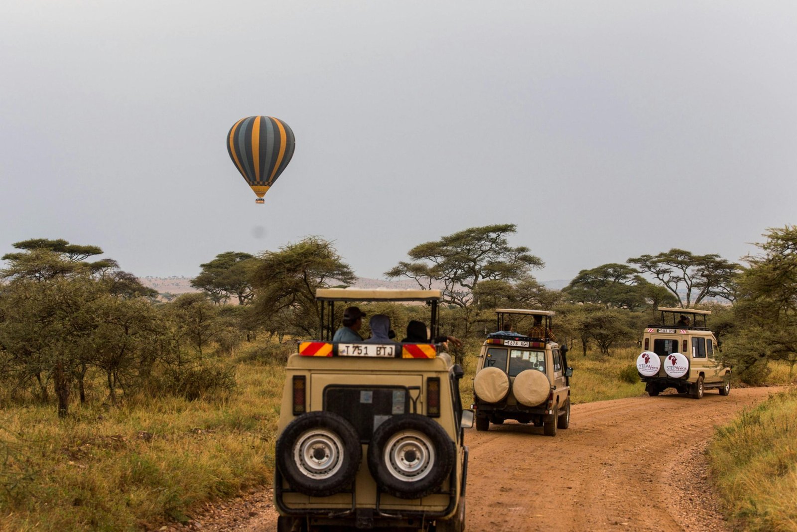 pexels tanzania wild sky 986912744 20179685 scaled