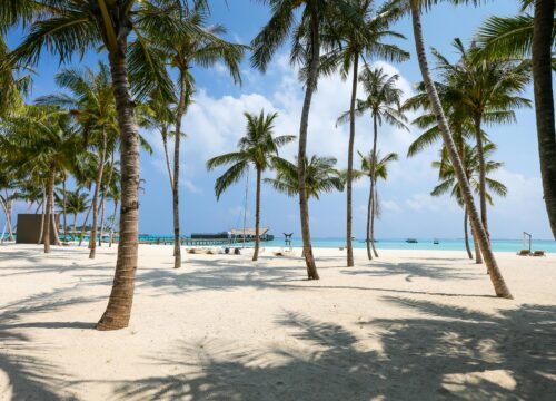 Best Times of Year to Visit Tanzania for Wildlife, Weather, and Festivals