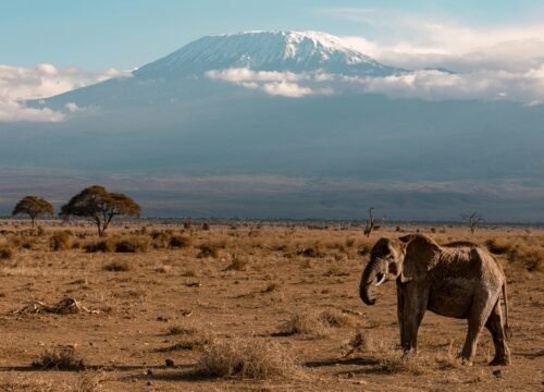 Top 10 Hidden Gems in Tanzania You’ve Probably Never Heard Of