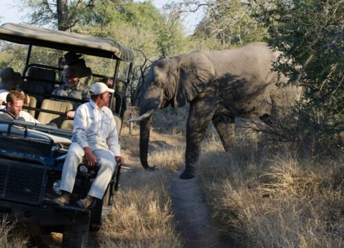 Photographer’s Guide: Capturing Wildlife and Landscapes in Tanzania