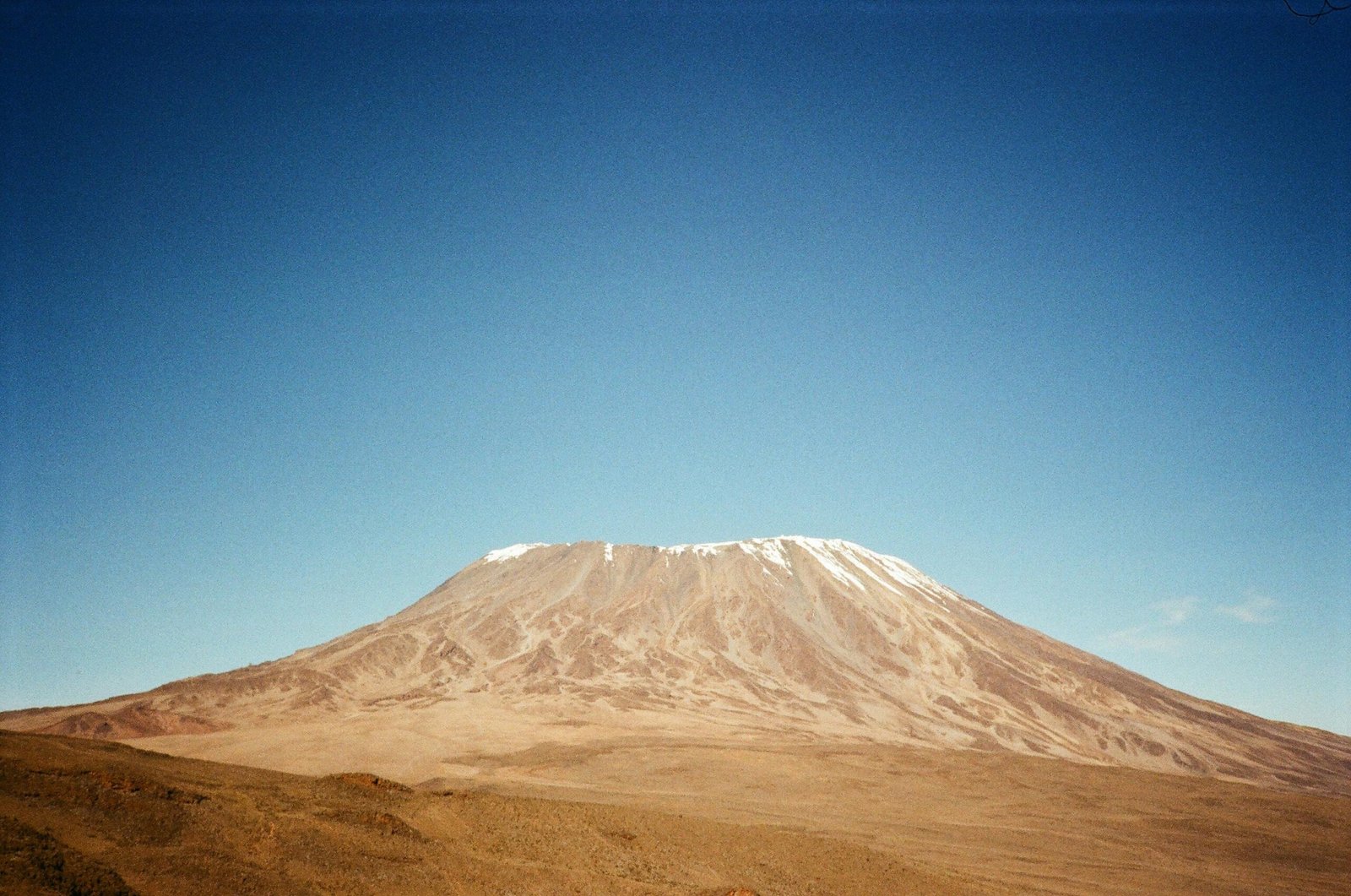 The Lemosho Route: Why It’s One of the Best for Kilimanjaro Climbers 1 pexels marina zvada 844583049 31121292 scaled