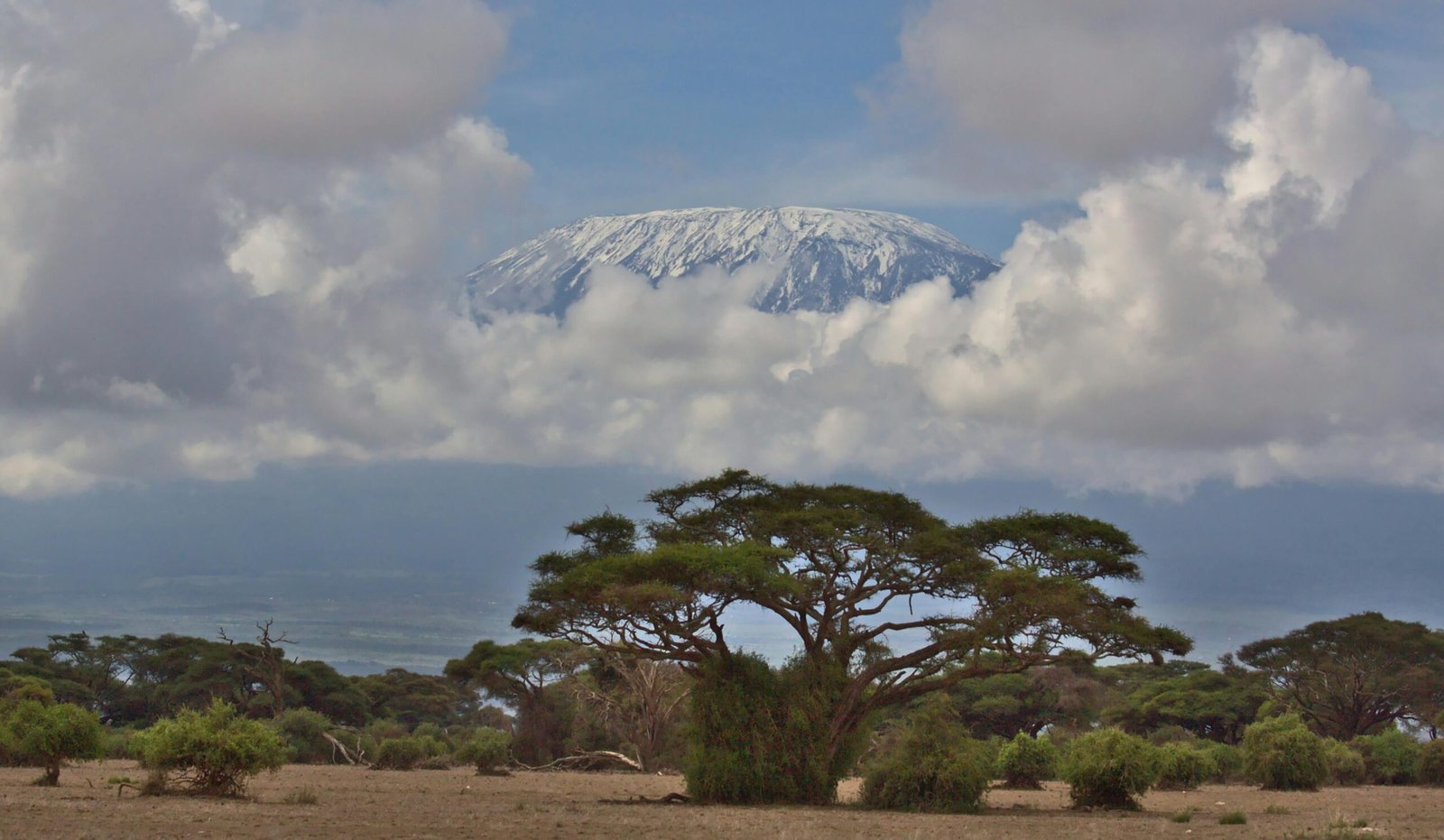Kilimanjaro vs. Mount Kenya: Which Trek Is Right for You 1 pexels nirav shah 6927042 15904775 scaled