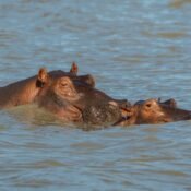 pexels tomasz dworczyk podroz za milion zdjec 2152356313 32332412