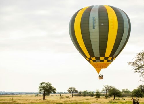 Unforgettable Hot Air Balloon Safari Experiences Over the Serengeti